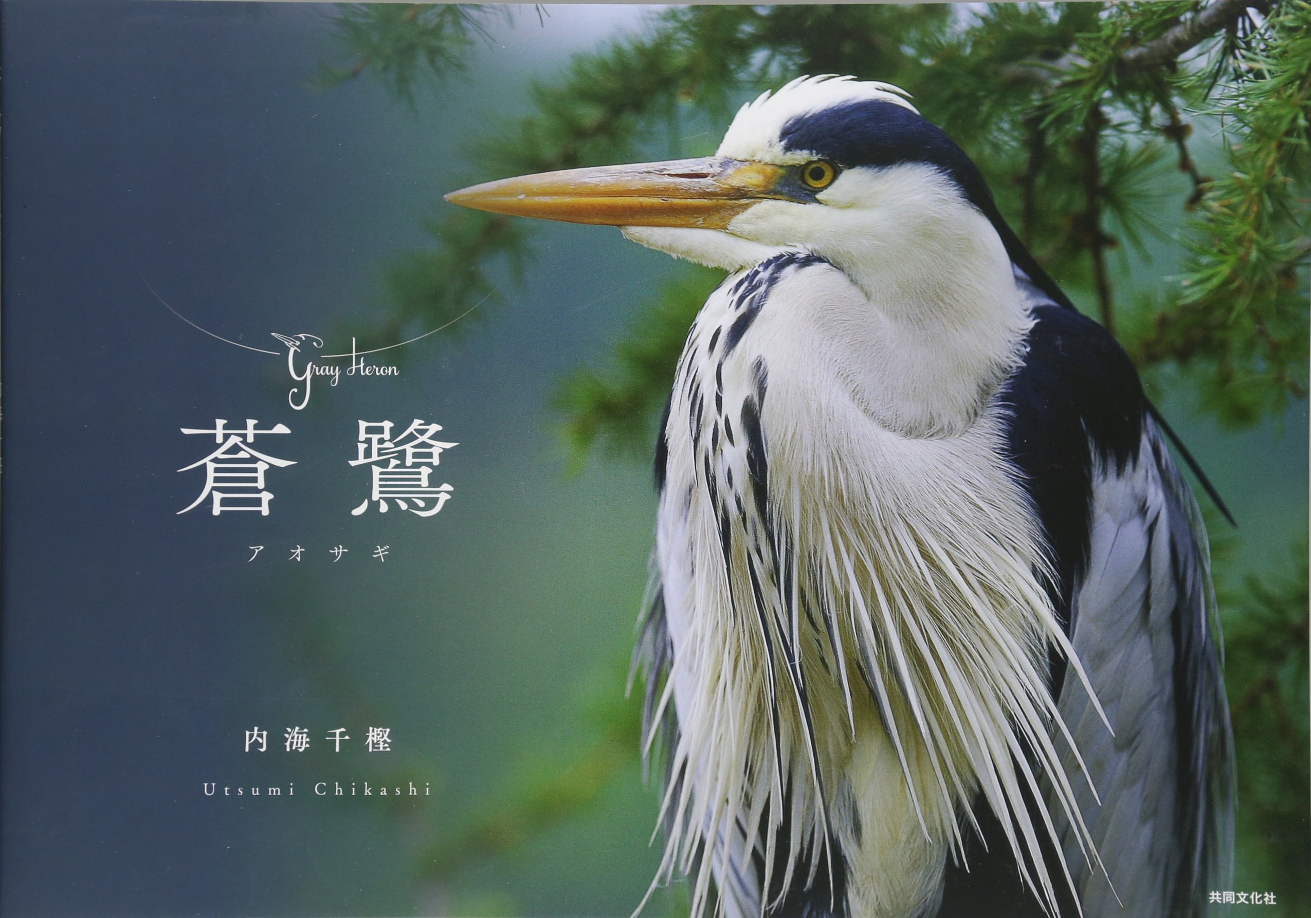 蒼鷺 | 内海 千樫, 内海 千樫 |本 | 通販 | Amazon